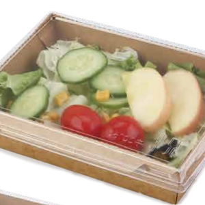 Kraft Paper Box-PET Window