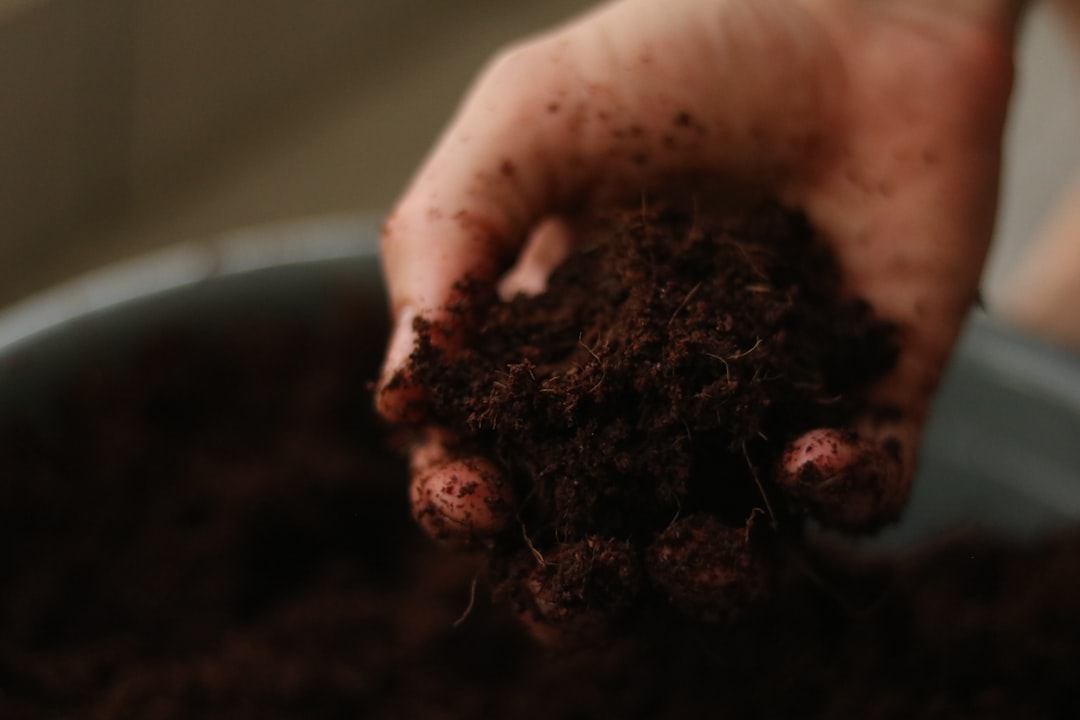 Handful of compost soil, representing industrial composting under BPI/ASTM D6400 certification